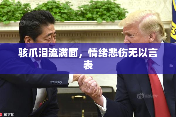 骇爪泪流满面，情绪悲伤无以言表