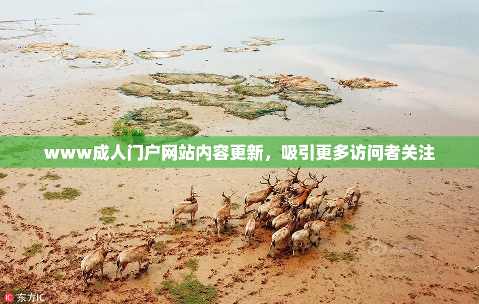 www成人门户网站内容更新，吸引更多访问者关注