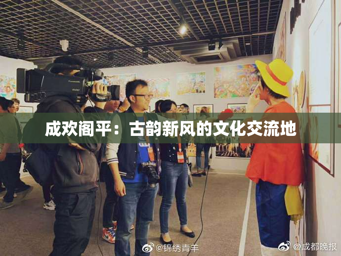 成欢阁平：古韵新风的文化交流地