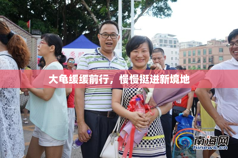 大龟缓缓前行，慢慢挺进新境地