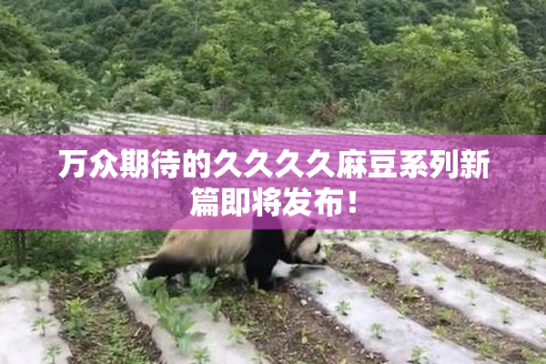 万众期待的久久久久麻豆系列新篇即将发布！