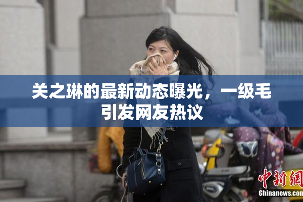 关之琳的最新动态曝光，一级毛引发网友热议