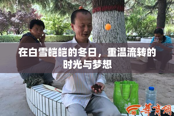 在白雪皑皑的冬日，重温流转的时光与梦想
