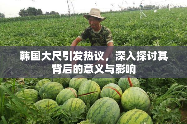 韩国大尺引发热议，深入探讨其背后的意义与影响