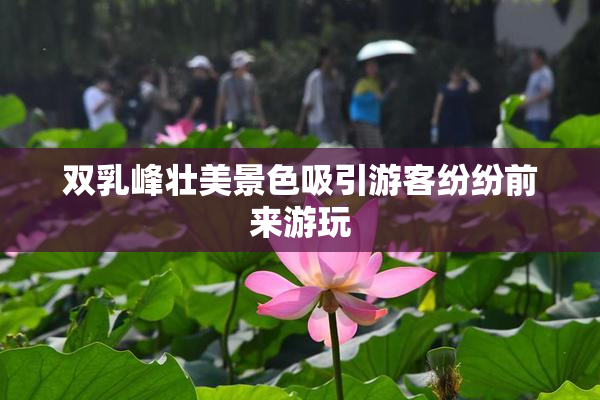 双乳峰壮美景色吸引游客纷纷前来游玩