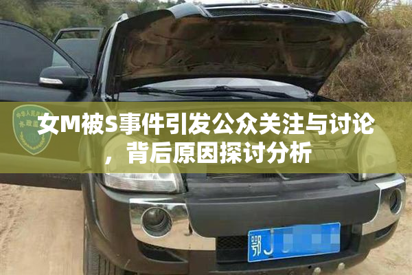 女M被S事件引发公众关注与讨论，背后原因探讨分析