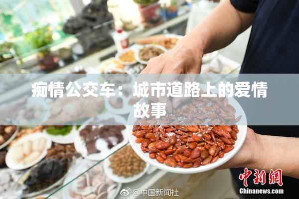 痴情公交车：城市道路上的爱情故事
