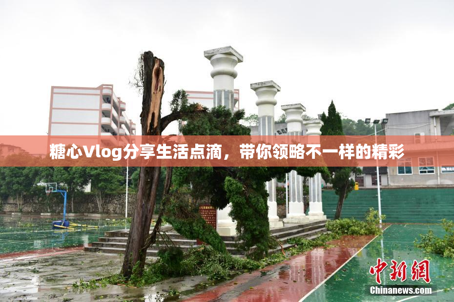 糖心Vlog分享生活点滴，带你领略不一样的精彩