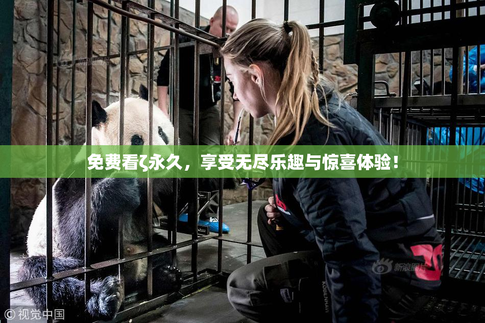 免费看ζ永久，享受无尽乐趣与惊喜体验！