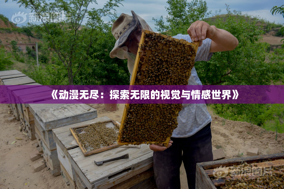 《动漫无尽：探索无限的视觉与情感世界》