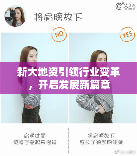 新大地资引领行业变革，开启发展新篇章