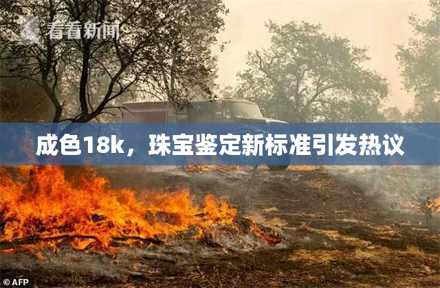 成色18k，珠宝鉴定新标准引发热议