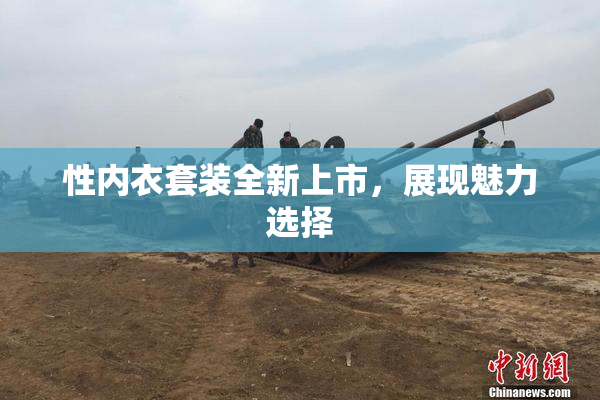 性内衣套装全新上市，展现魅力选择