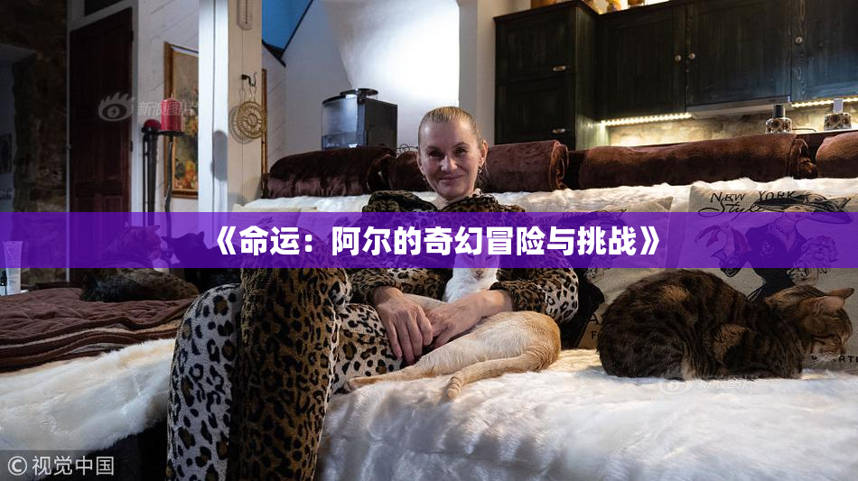 《命运：阿尔的奇幻冒险与挑战》
