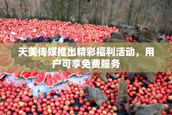天美传媒推出精彩福利活动，用户可享免费服务