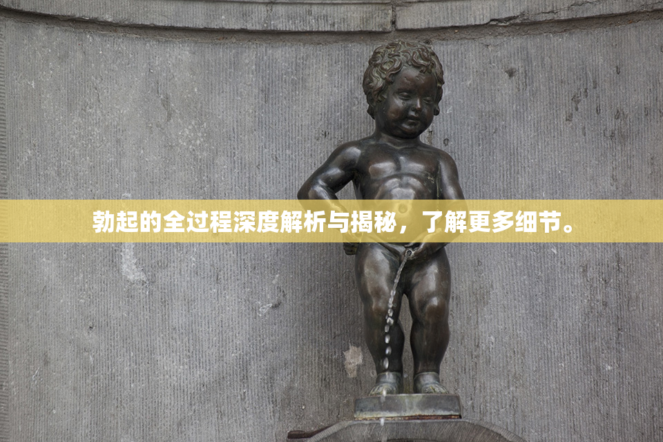 勃起的全过程深度解析与揭秘，了解更多细节。