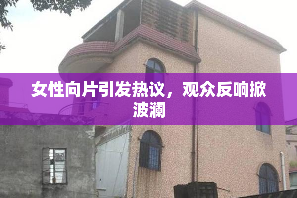 女性向片引发热议，观众反响掀波澜