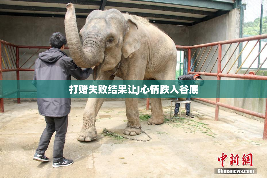 打赌失败结果让J心情跌入谷底