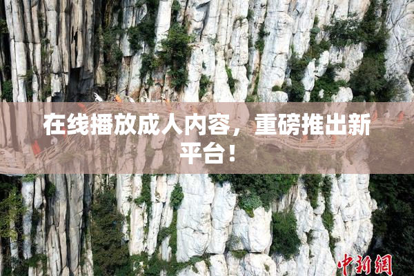 在线播放成人内容，重磅推出新平台！