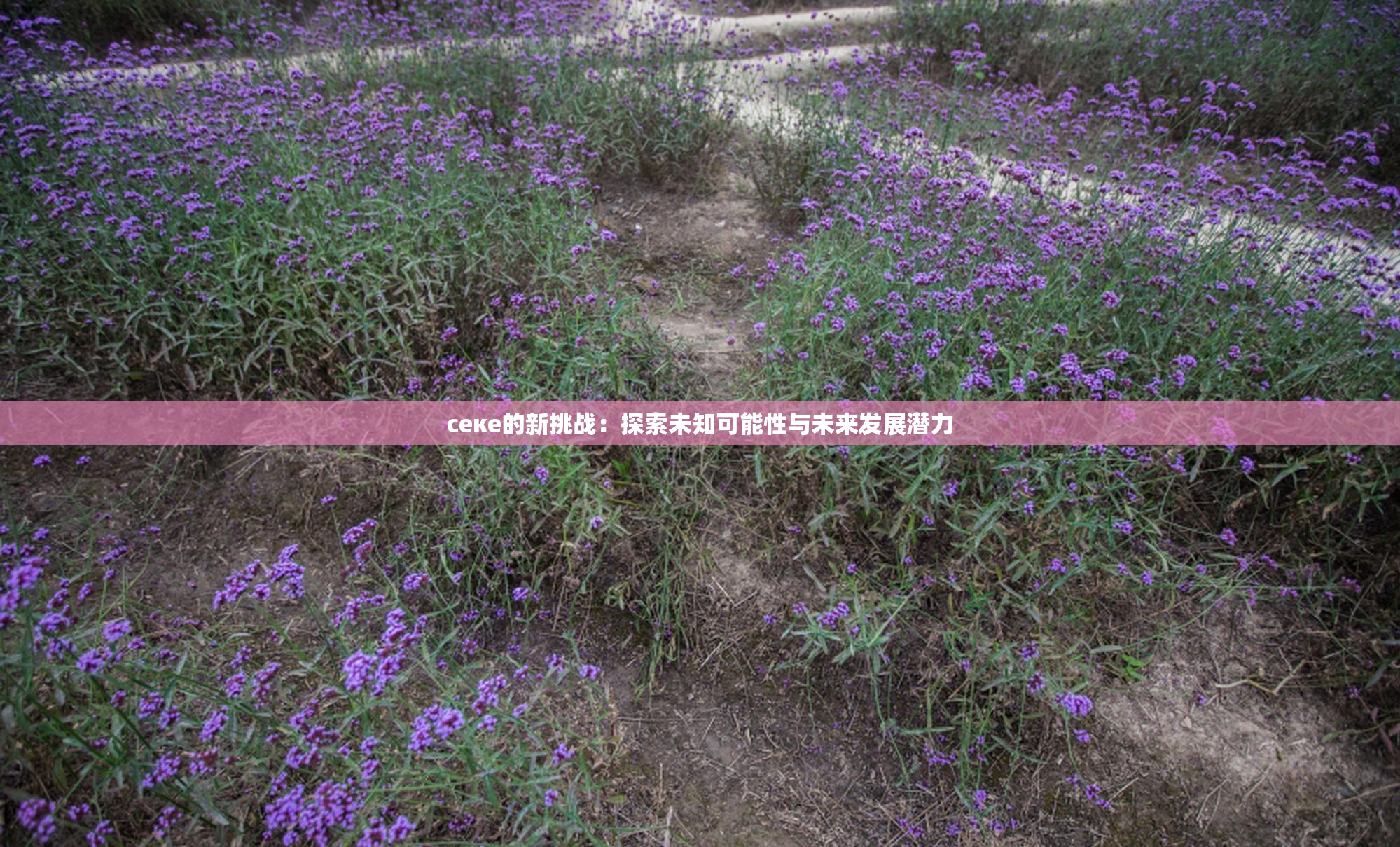 ceке的新挑战：探索未知可能性与未来发展潜力
