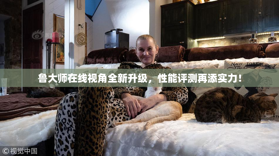鲁大师在线视角全新升级，性能评测再添实力！
