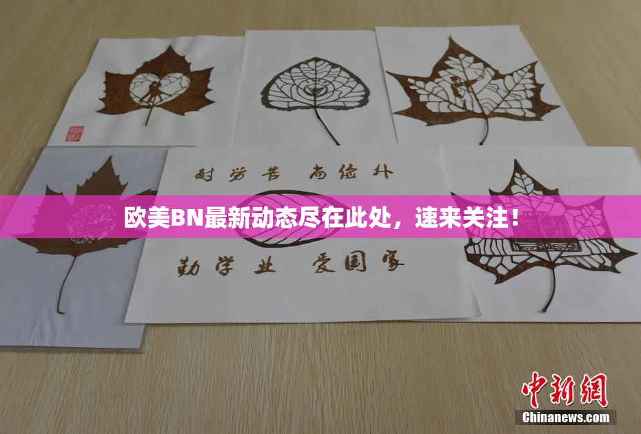 欧美BN最新动态尽在此处，速来关注！