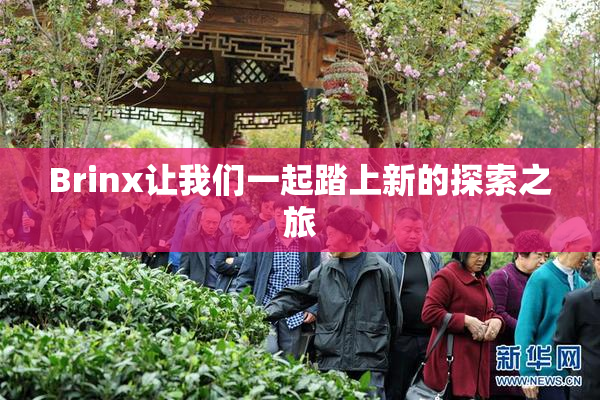 Brinx让我们一起踏上新的探索之旅