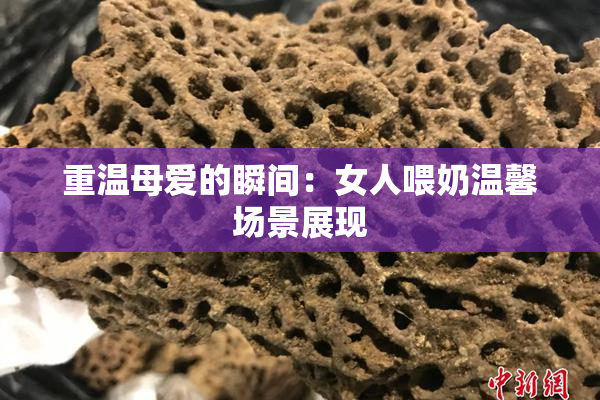 重温母爱的瞬间：女人喂奶温馨场景展现