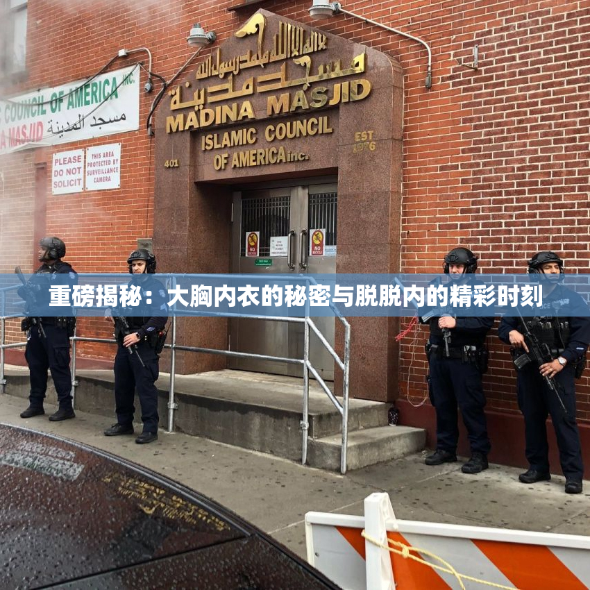 重磅揭秘：大胸内衣的秘密与脱脱内的精彩时刻