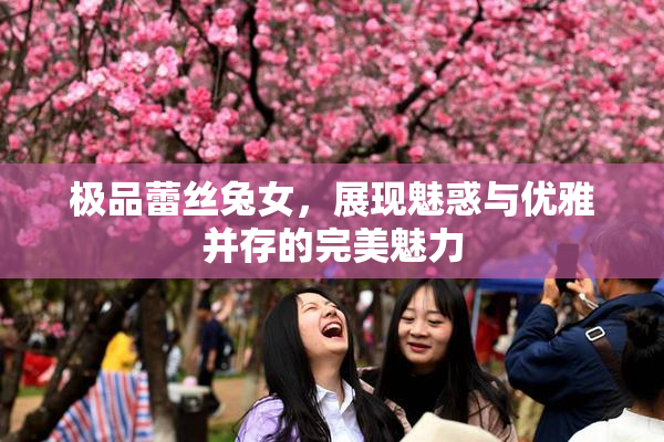 极品蕾丝兔女，展现魅惑与优雅并存的完美魅力