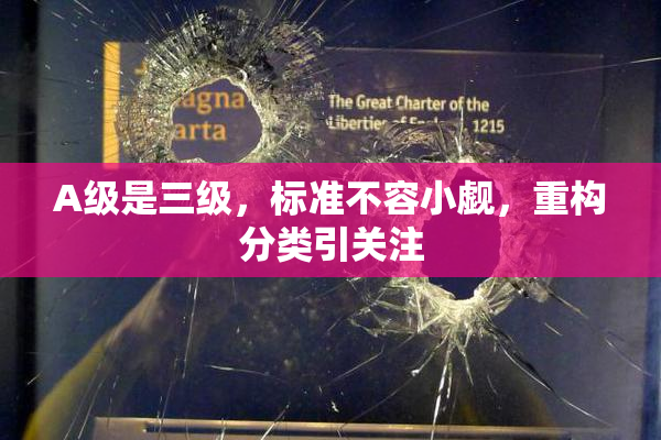 A级是三级，标准不容小觑，重构分类引关注
