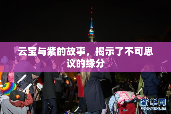 云宝与紫的故事，揭示了不可思议的缘分