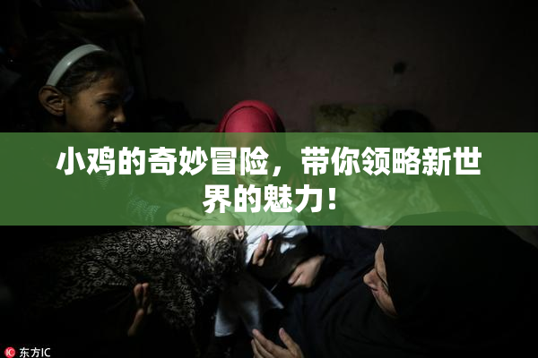 小鸡的奇妙冒险，带你领略新世界的魅力！