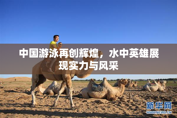 中国游泳再创辉煌，水中英雄展现实力与风采