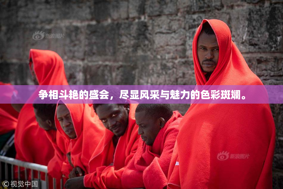 争相斗艳的盛会，尽显风采与魅力的色彩斑斓。