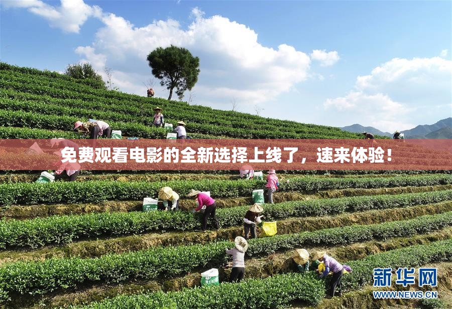 免费观看电影的全新选择上线了，速来体验！