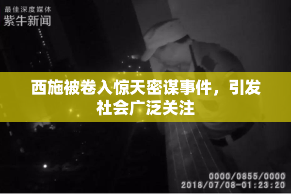 西施被卷入惊天密谋事件，引发社会广泛关注