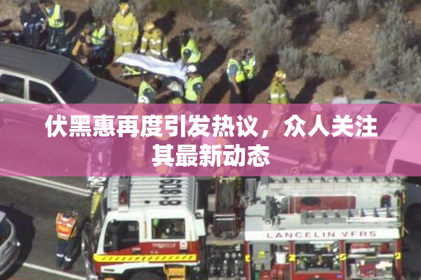 伏黑惠再度引发热议，众人关注其最新动态