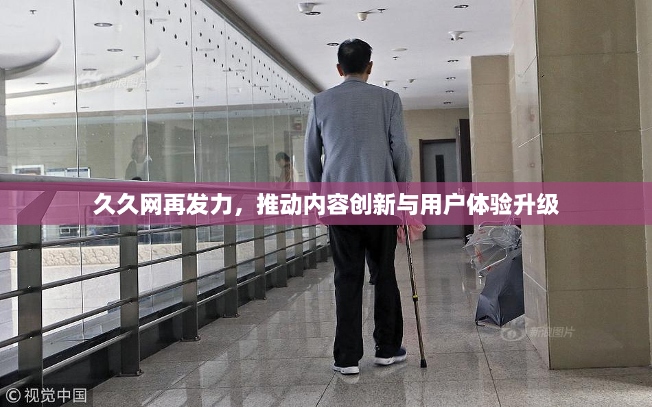 久久网再发力，推动内容创新与用户体验升级
