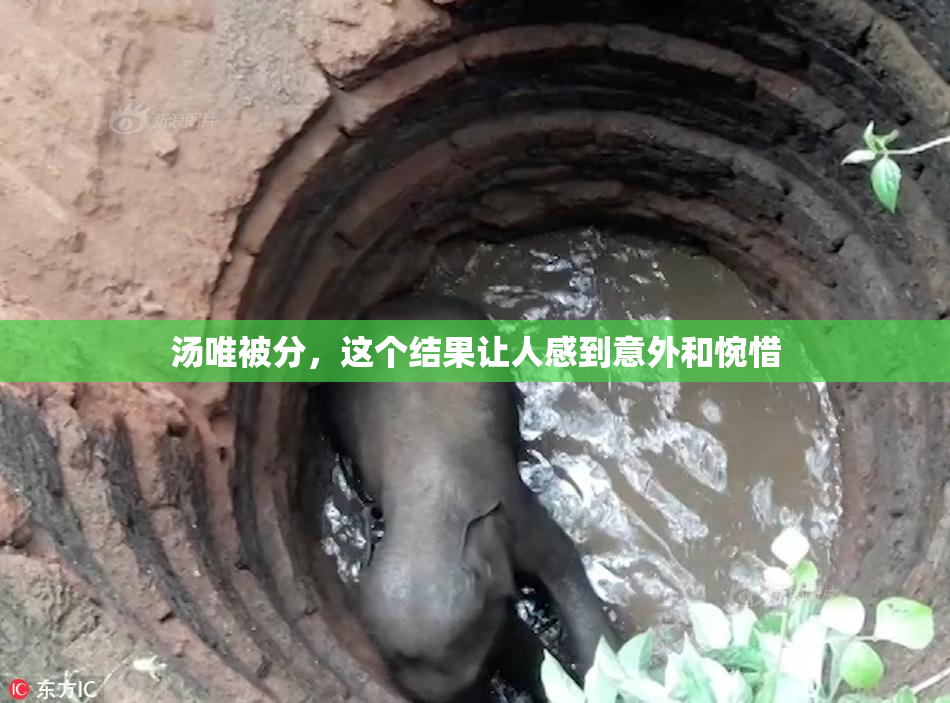 汤唯被分，这个结果让人感到意外和惋惜