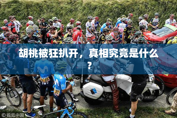 胡桃被狂扒开，真相究竟是什么？