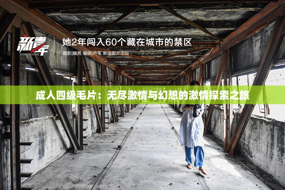 成人四级毛片：无尽激情与幻想的激情探索之旅