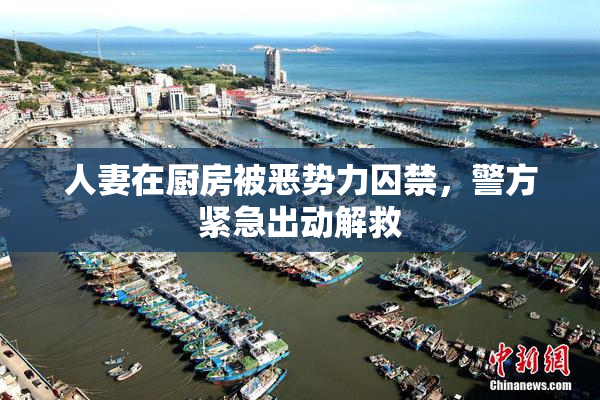 人妻在厨房被恶势力囚禁，警方紧急出动解救
