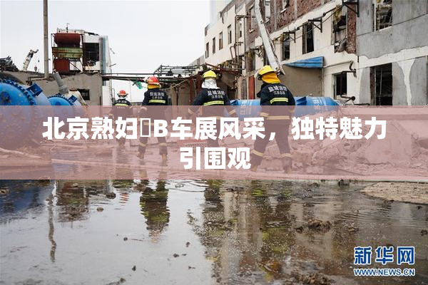 北京熟妇槡B车展风采，独特魅力引围观