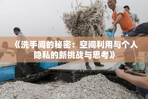 《洗手间的秘密：空间利用与个人隐私的新挑战与思考》