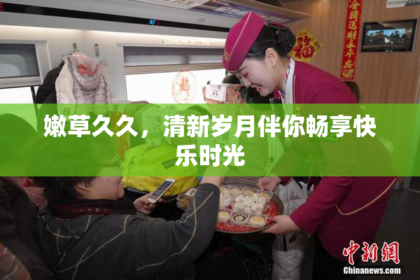 嫩草久久，清新岁月伴你畅享快乐时光