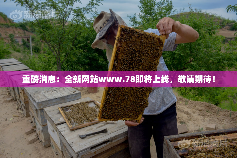 重磅消息：全新网站www.78即将上线，敬请期待！