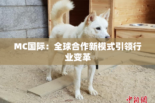 MC国际：全球合作新模式引领行业变革