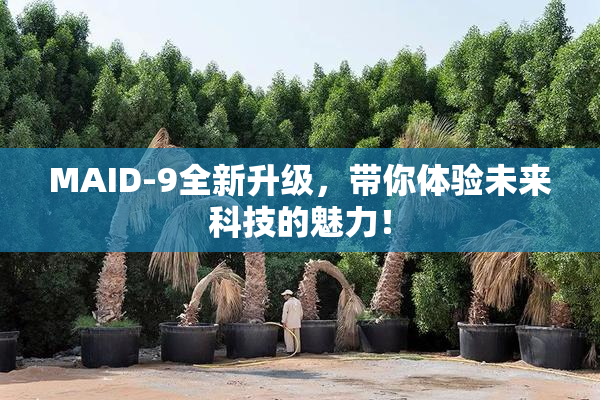 MAID-9全新升级，带你体验未来科技的魅力！