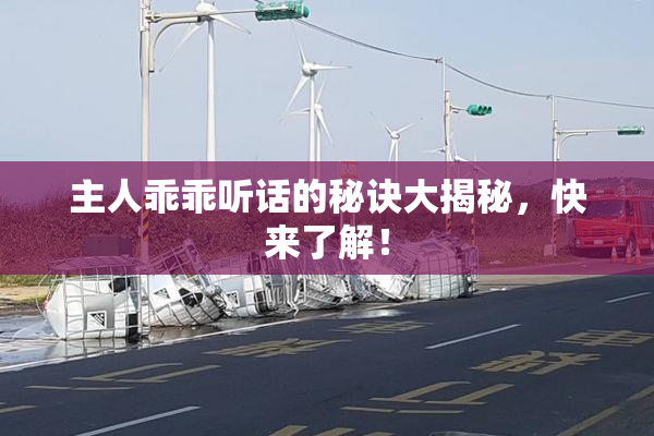 主人乖乖听话的秘诀大揭秘，快来了解！